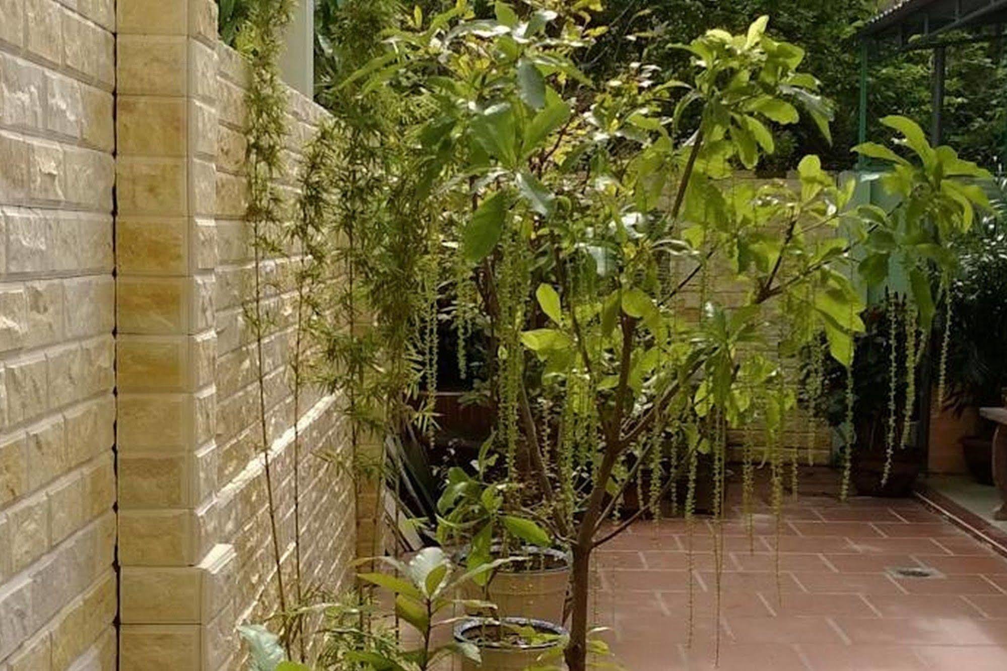 Hi Hop Yen Homestay 호이안 외부 사진